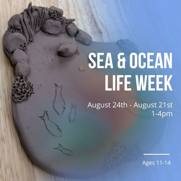 Teens Camp Week 6: August 24th -August 28th (1-4pm)