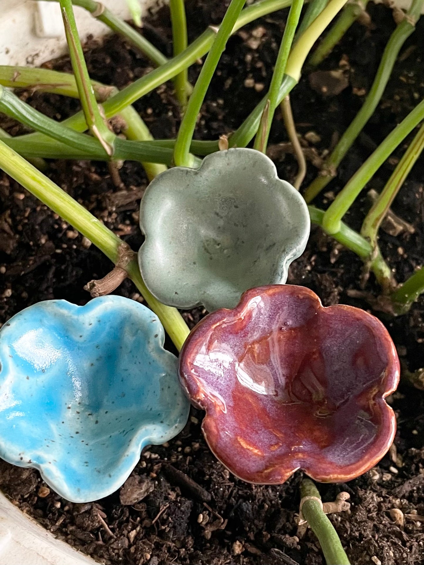 Spring Pollinator Cups-Aqua Blue