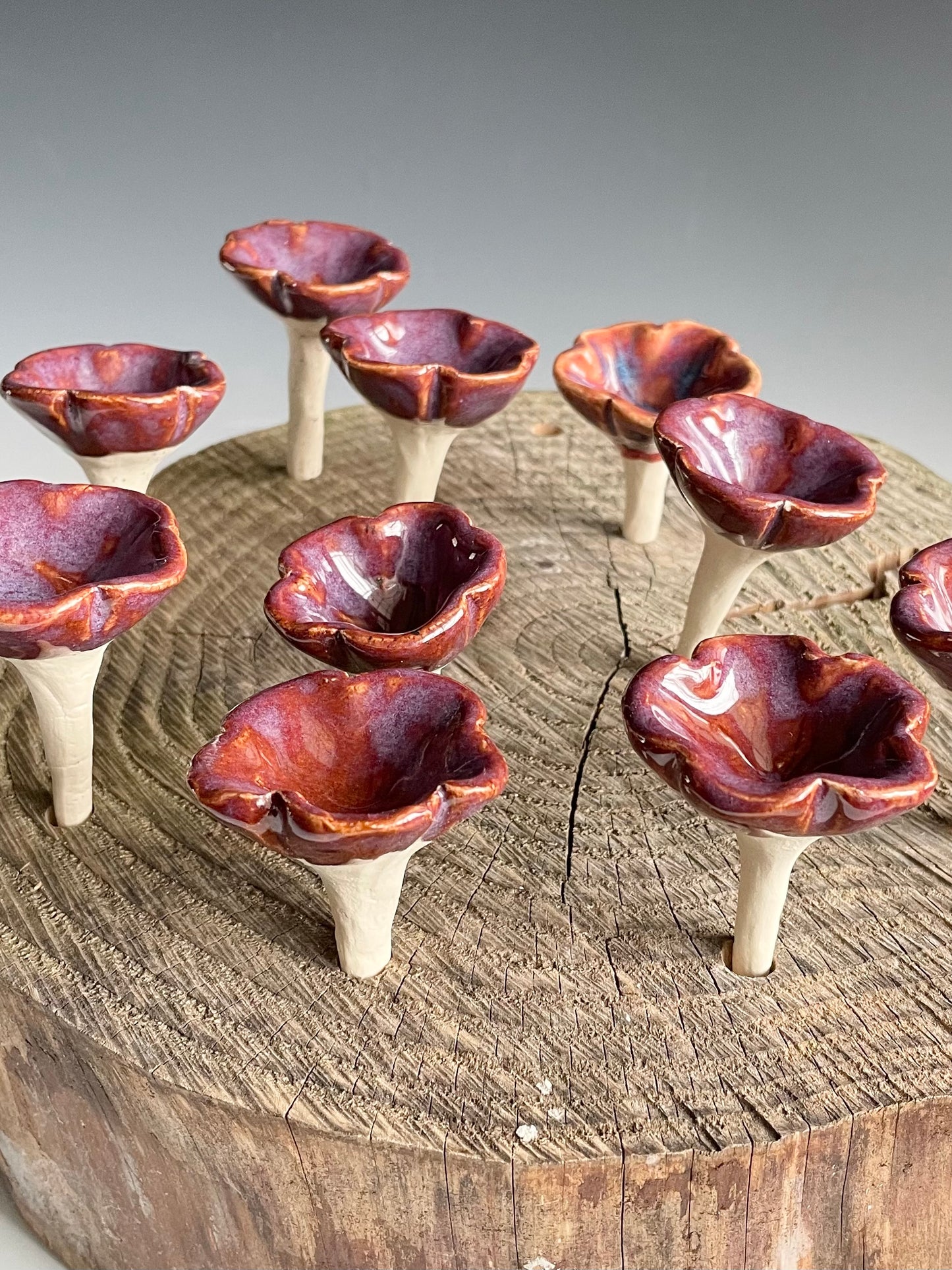 Spring Pollinator Cups-Dark Purple