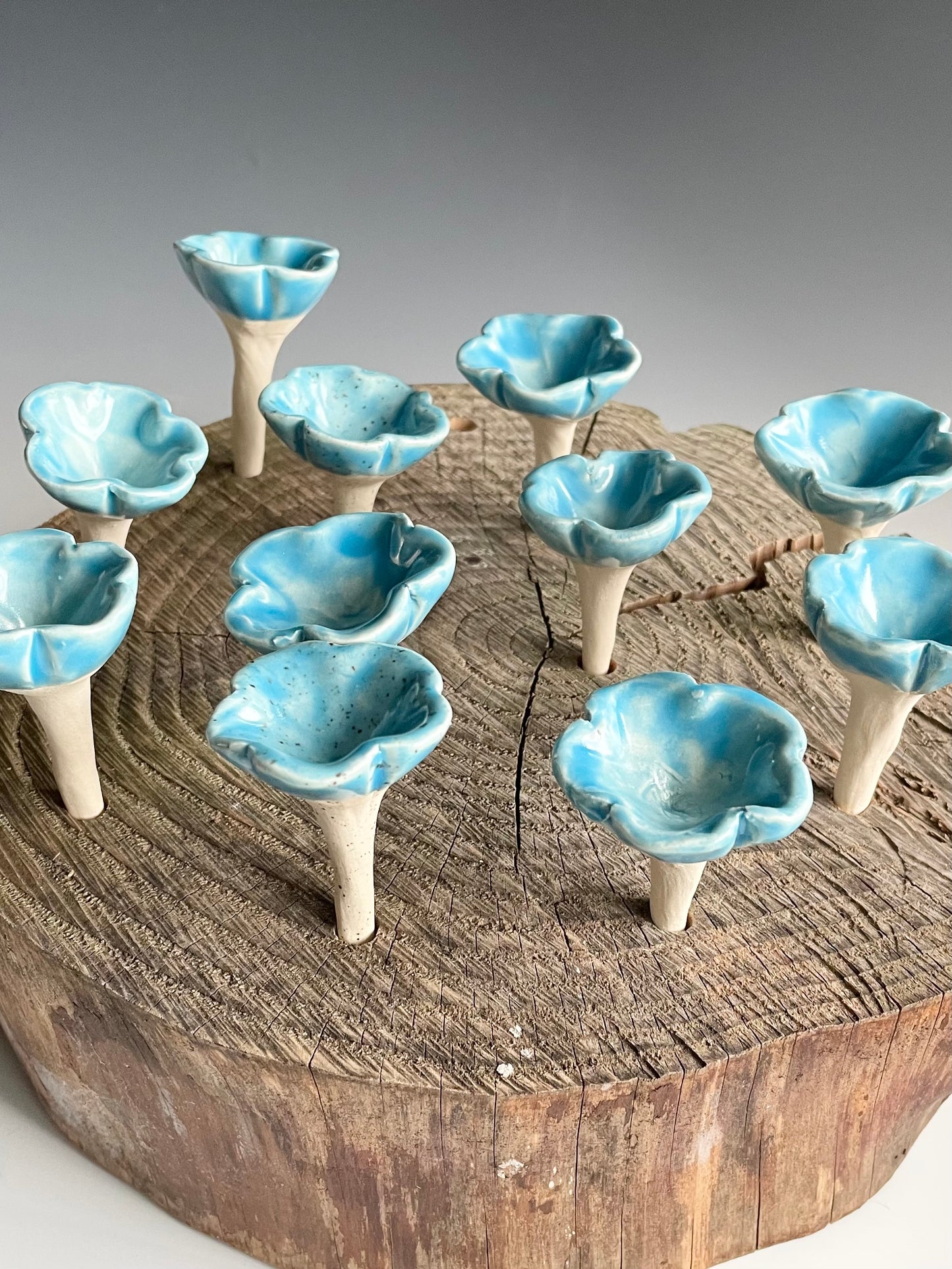 Spring Pollinator Cups-Aqua Blue