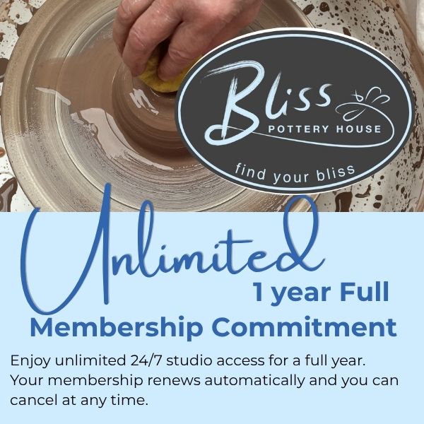 Unlimited 1 Year Full Membership Commitment