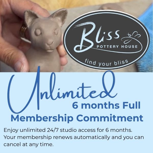 Unlimited 6 Months Full Membership Commitment