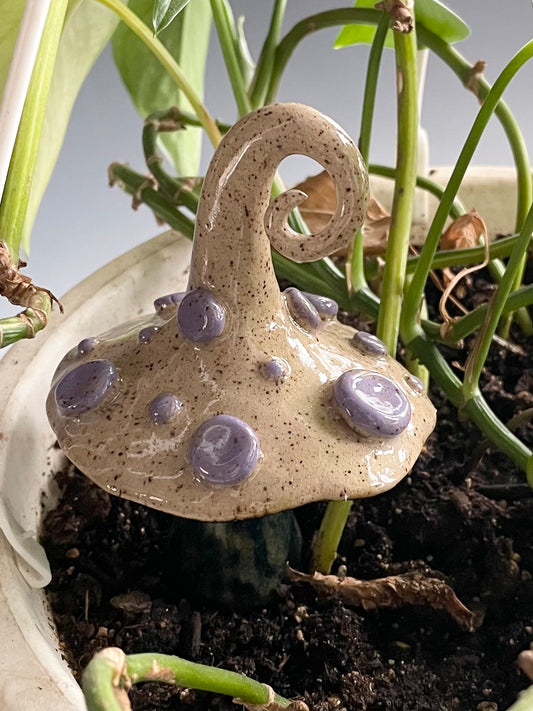 Cream & Purple Mushroom