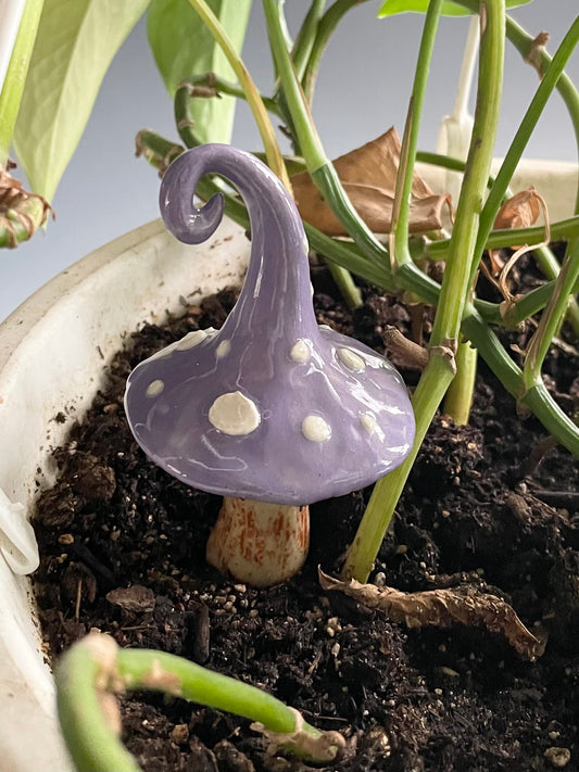 Purple & White Mushroom