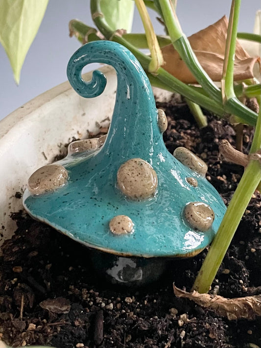 Aqua Mushroom