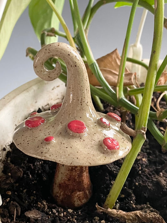 Red Mushroom