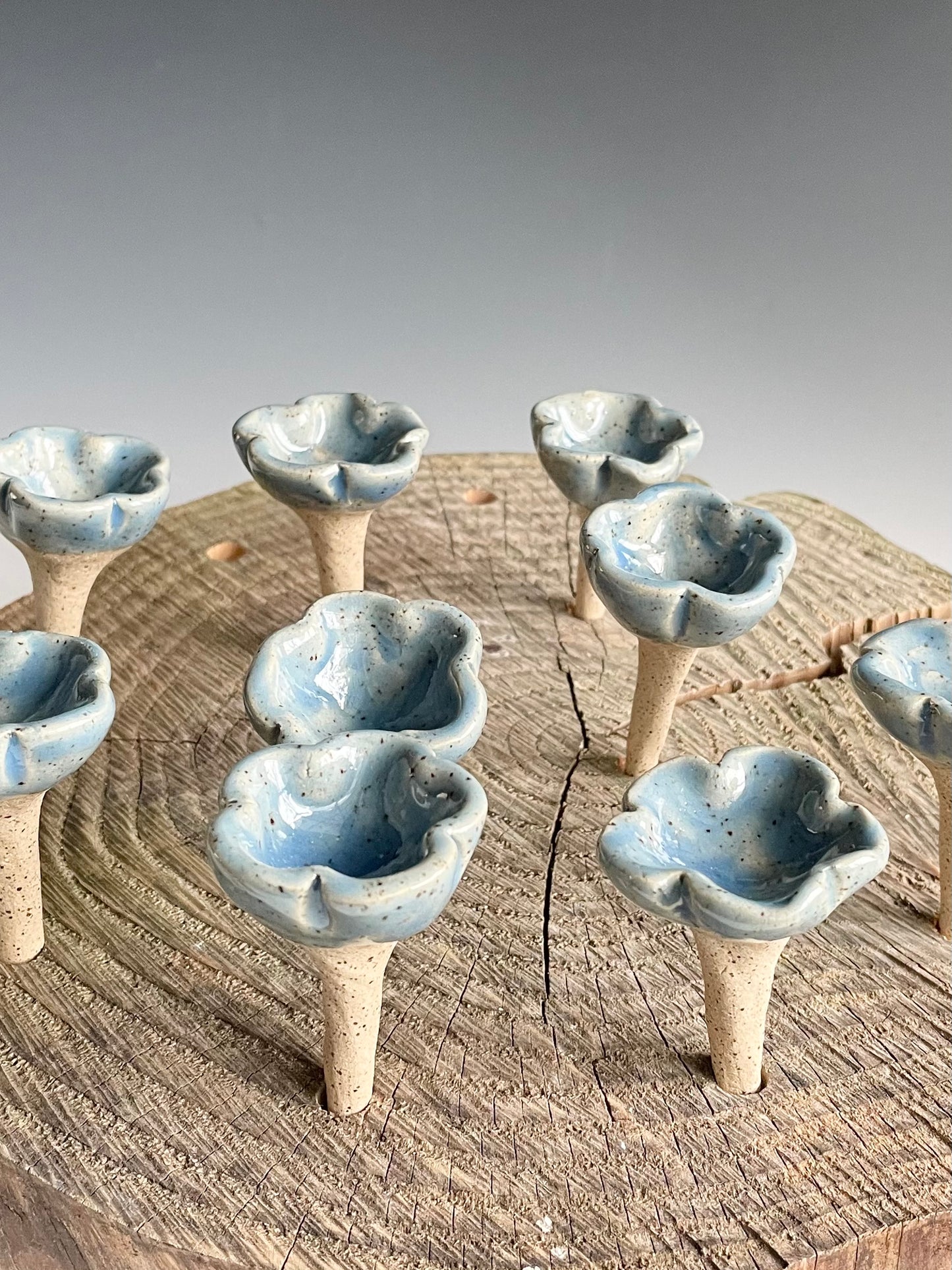 Spring Pollinator Cups-Light Blue