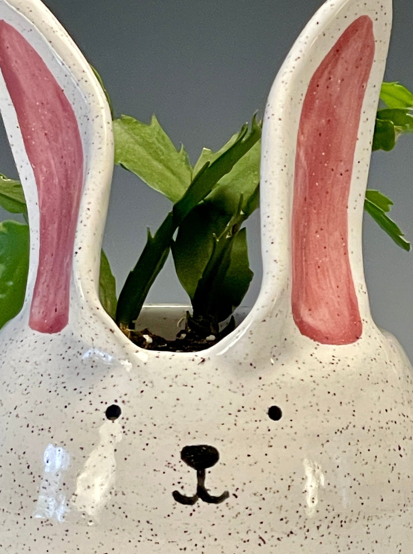 Happy Bunny Planter, small