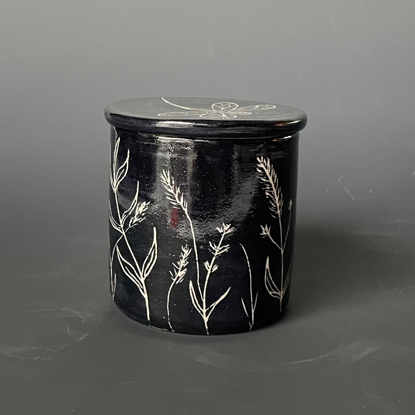 Sgraffito Dragonfly Design Butter Keeper